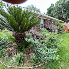 Refresh-Your-Landscape-with-Professional-Mulch-Installation-Shalimar-FL 6